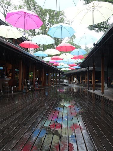 ハルニレテラスで雨を楽しむ 軽井沢旅社 ブログ版